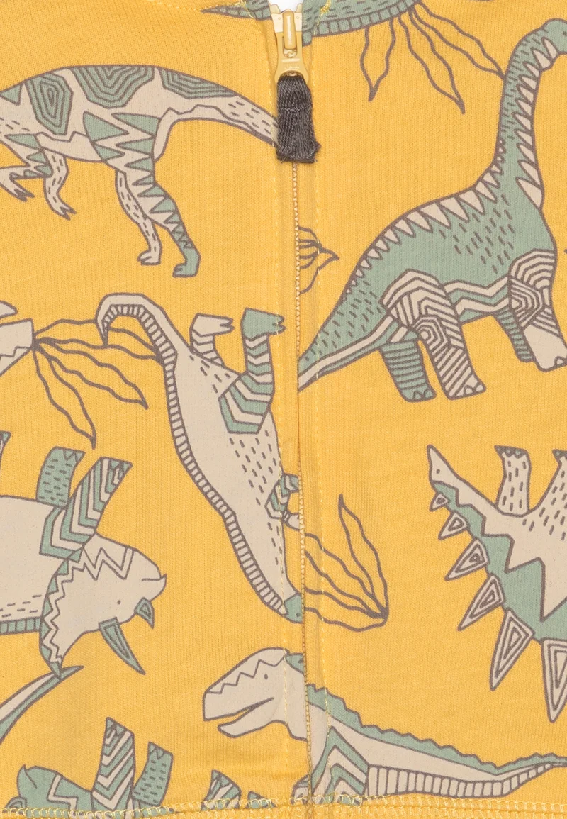 Dinosour Print Complete - Image 4